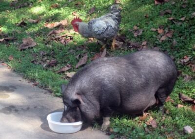 don't see this everyday