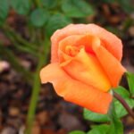 Arriving in Buenos Aires!