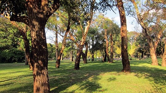 Top 5 Annoyances in Buenos Aires