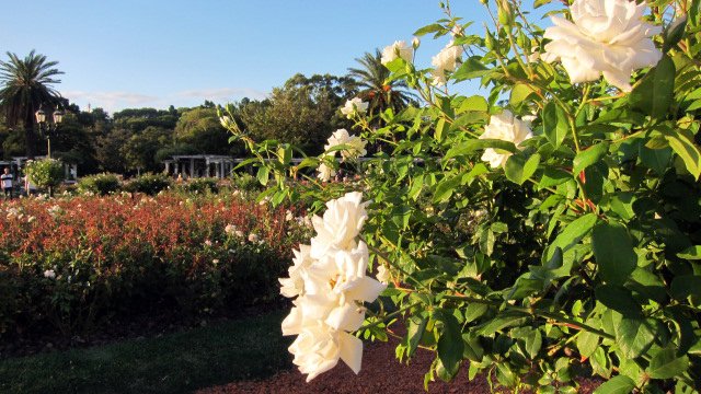 Four-Day Holiday Weekend