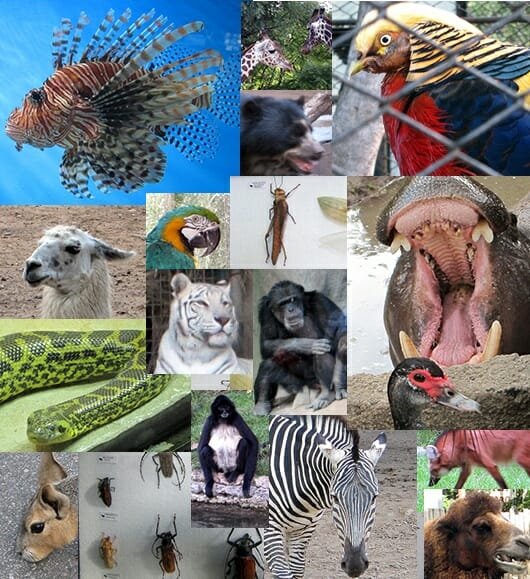 Zoológico Buenos Aires!