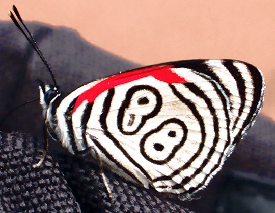 Side Road Trip from Iguazú: San Ignacio