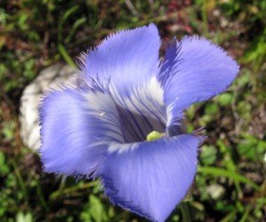 Presque Isle, Michigan