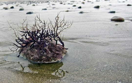 A Mindful Seven Months of Slow Travel