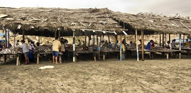 Fish shanties on the beach